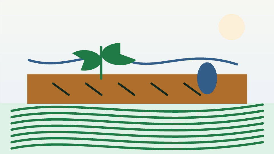 Schéma pédagogique montrant un sol couvert, une réserve d’eau et l’infiltration dans une parcelle agricole.
